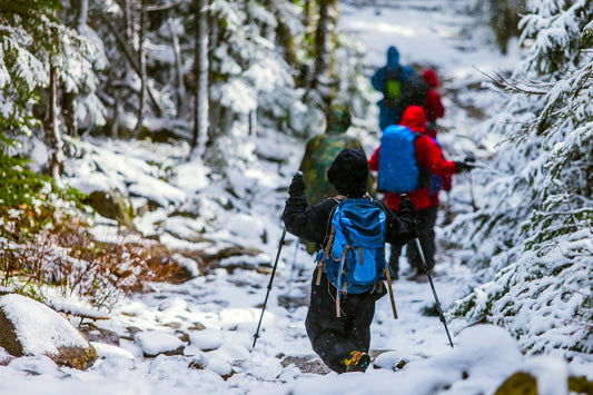 Les bienfaits des bâtons de marche : Indispensables pour votre randonnée en montagne ! - Sauvage Évasion