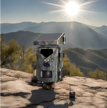 Solar Hunting Camera | Professional Monitoring 